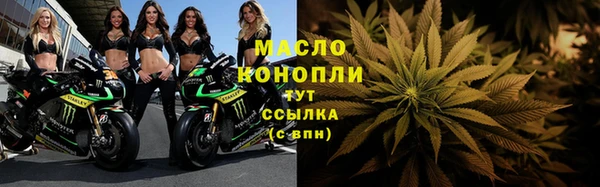 индика Аркадак