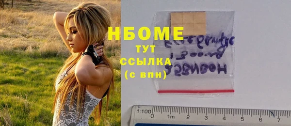 индика Аркадак
