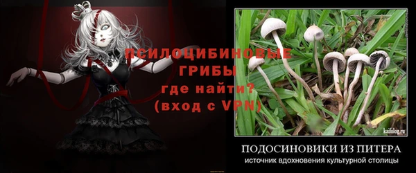 a pvp Армянск