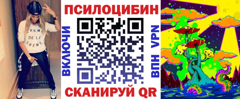Купить где  Сураж  Псилоцибиновые грибы ЛСД 